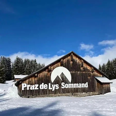 Moderne A Avec Vue Sur Les Montagnes - 35 M² * Taninges