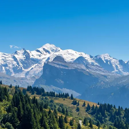 Moderne à Avec Vue Sur Les Montagnes - 35 M² *