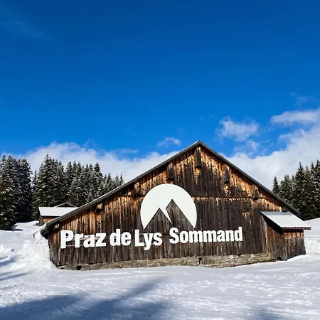 Moderne à Avec Vue Sur Les Montagnes - 35 M² Appartamento Taninges